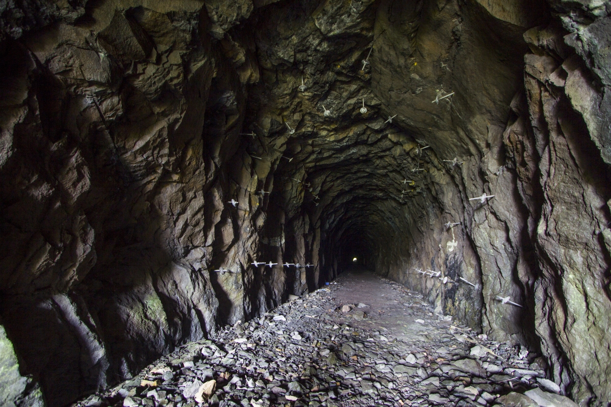 Tunelis